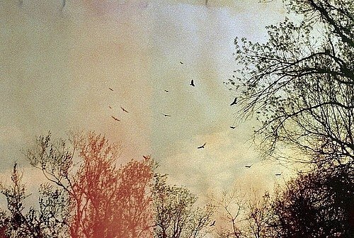Simon and Garfunkel (Музыка индейцев Перу) - El Condor Pasa (If I Could)