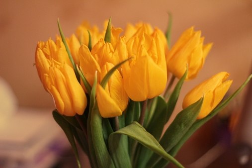 Желтые Тюльпаны - Мы ебались в ванной